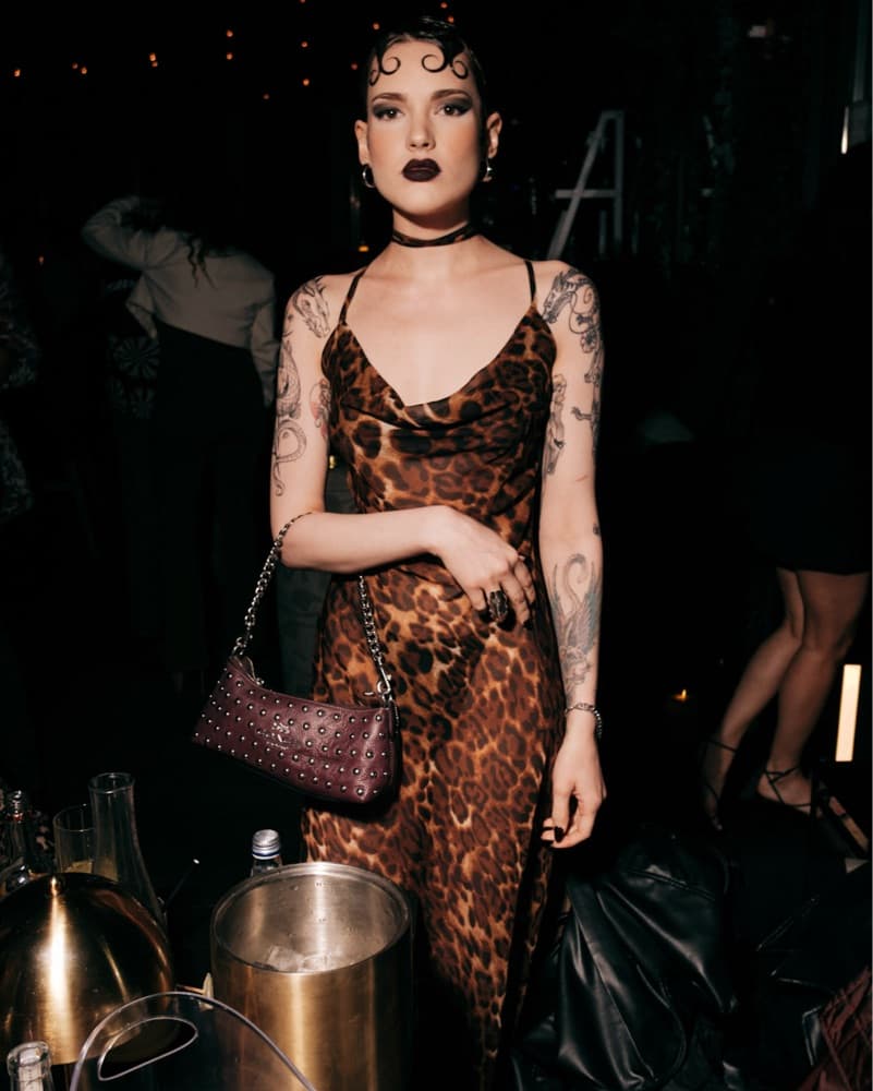 Sheer Leopard Print Maxi Dress - Image 2