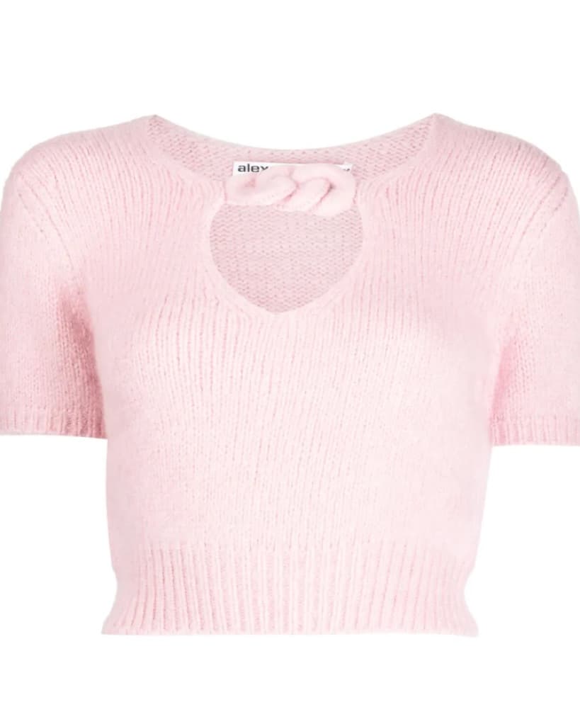 Alexander Wang Cropped Knit - Image 3
