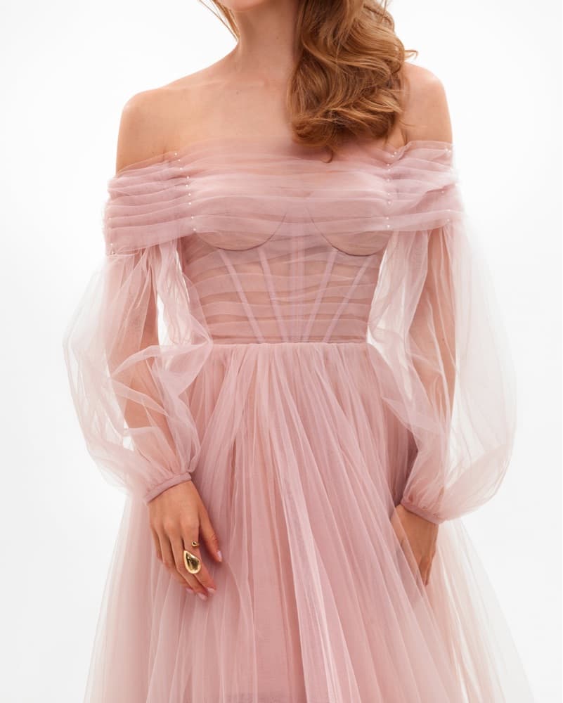 Misty Rose Sheer Maxi Tulle Dress  - Image 4