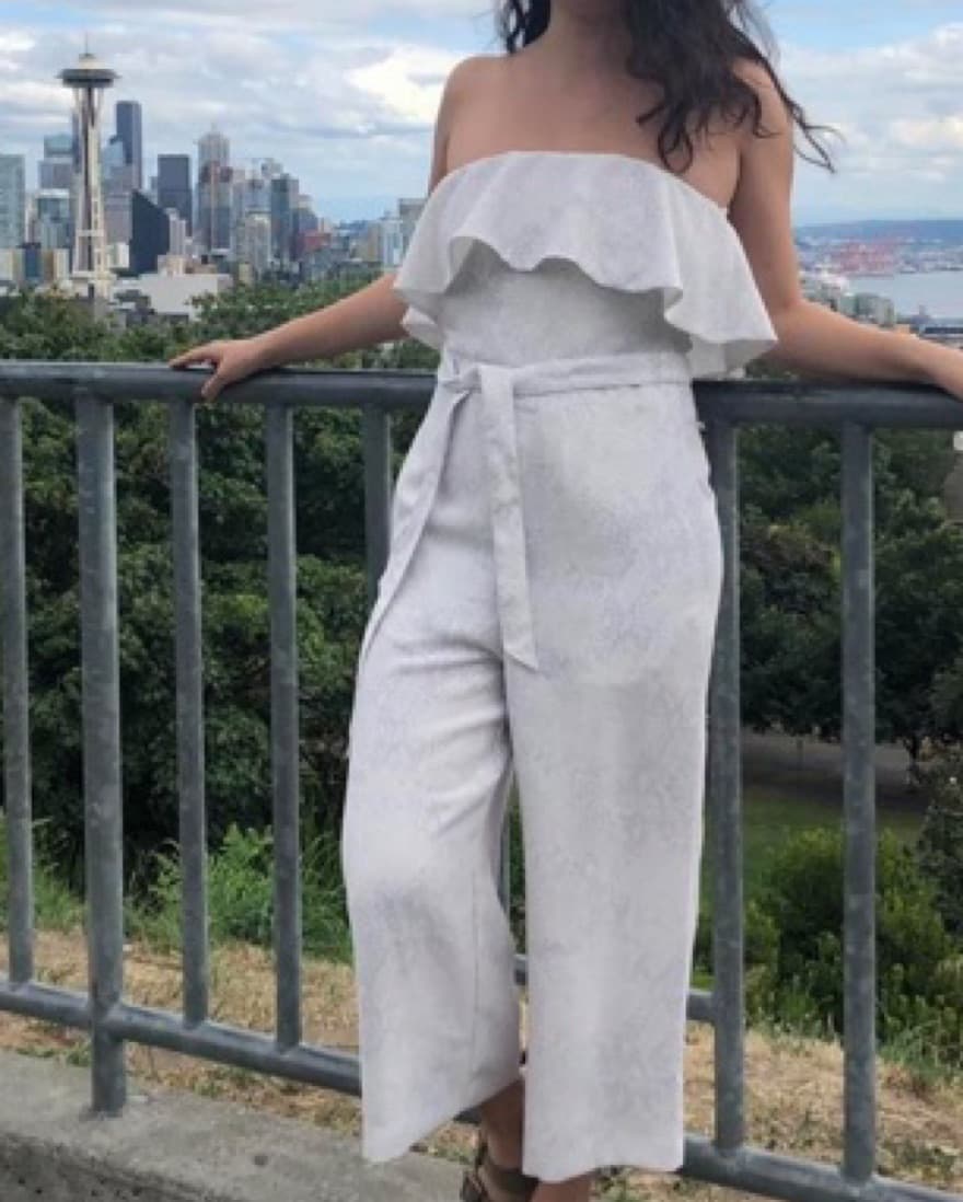 Aritzia Babaton Altamiro Jumpsuit - Image 2