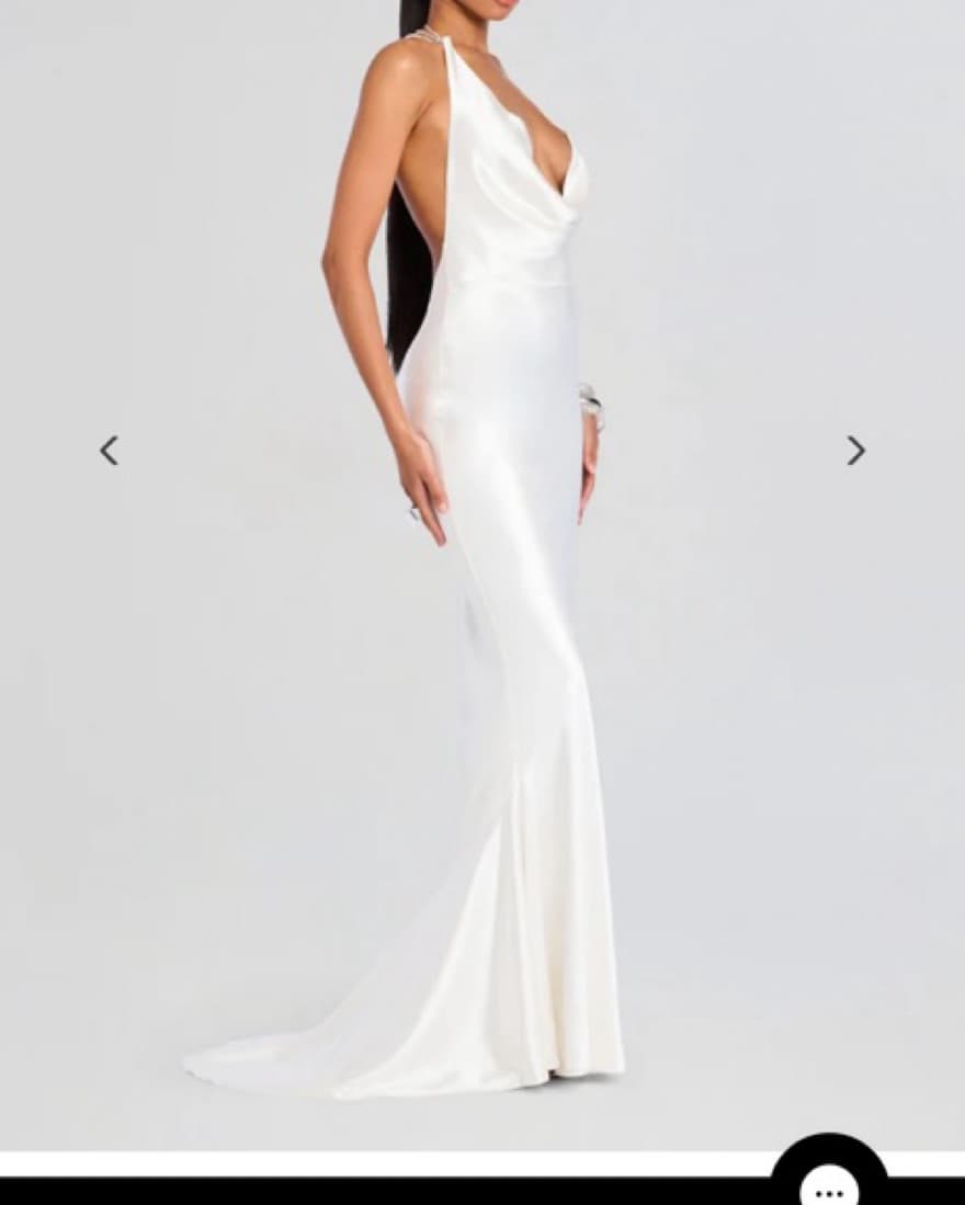 Retrofete Eve Dress  - Image 4