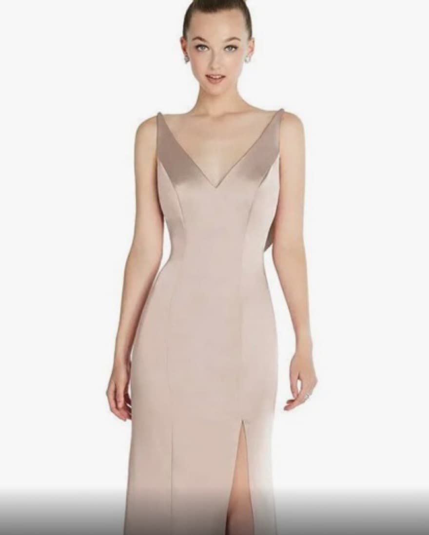 Champagne Gown  - Image 3