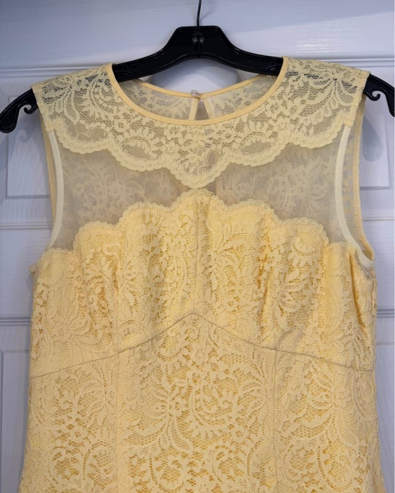 Buttercup Lace Sheath Dress - Image 3