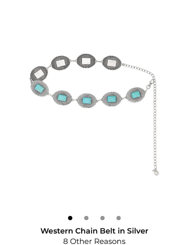 Western Chain Belt - Image 1