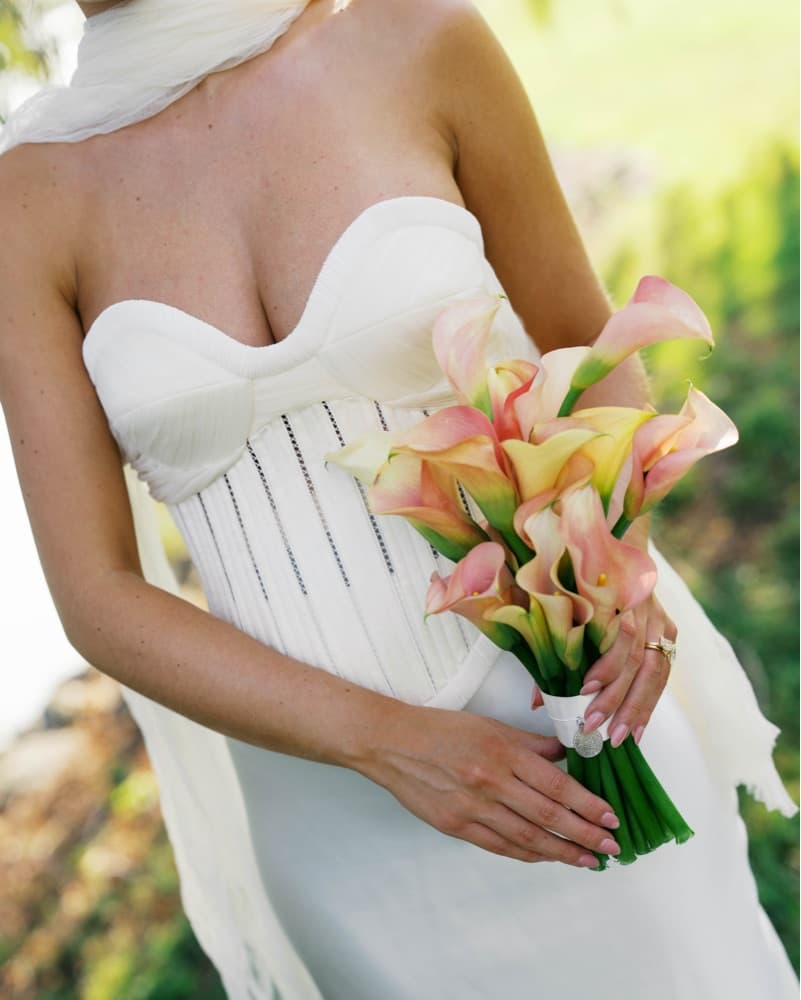 Danielle Frankel Anika Bustier  - Image 4