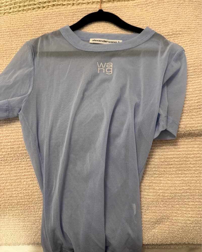 Sophisticated Gray Alexander Wang Top - Image 2