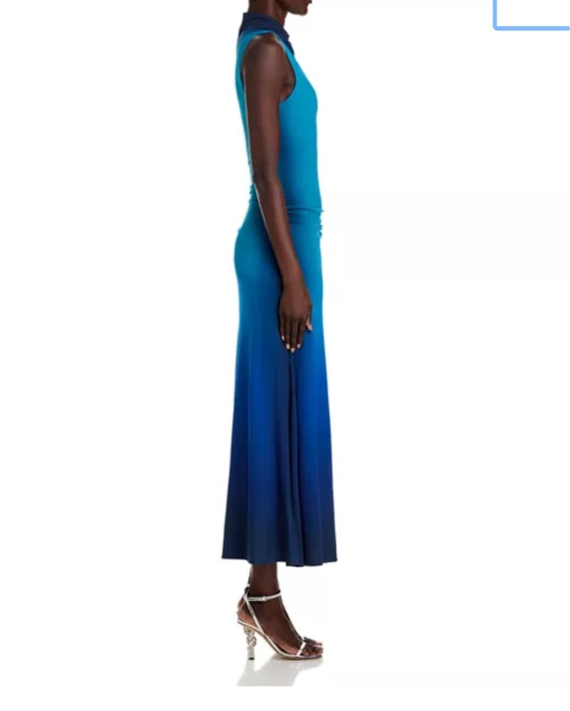Ombre Blue Jonathan Simkhai Gown - Image 3
