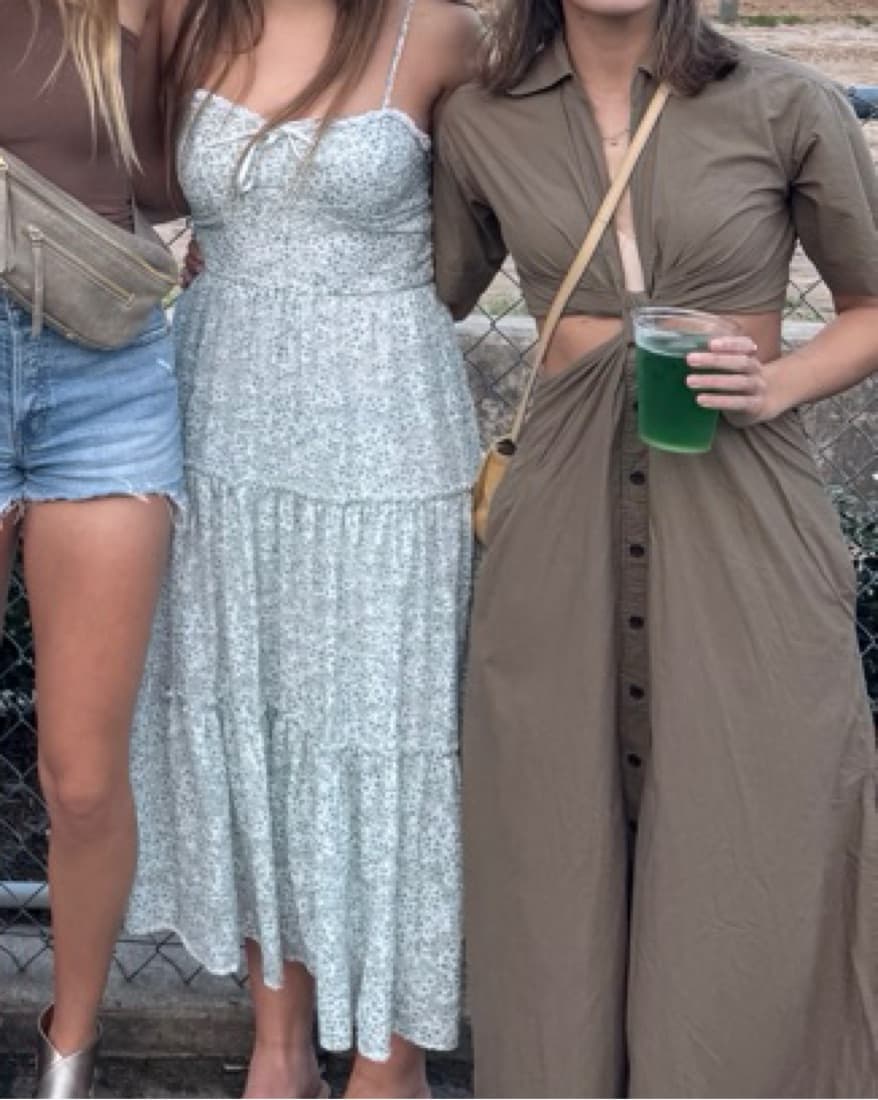 ALC Georgia Shirtdress - Image 5