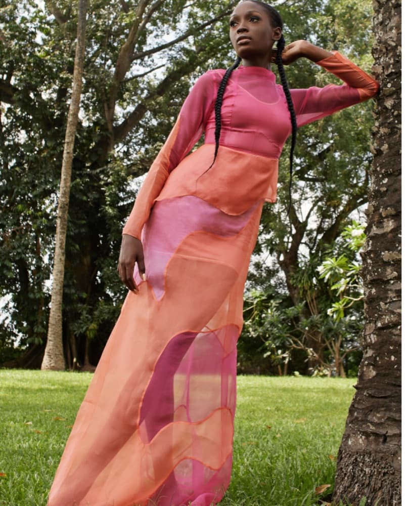 Silk Organza Pink Dress - Image 1