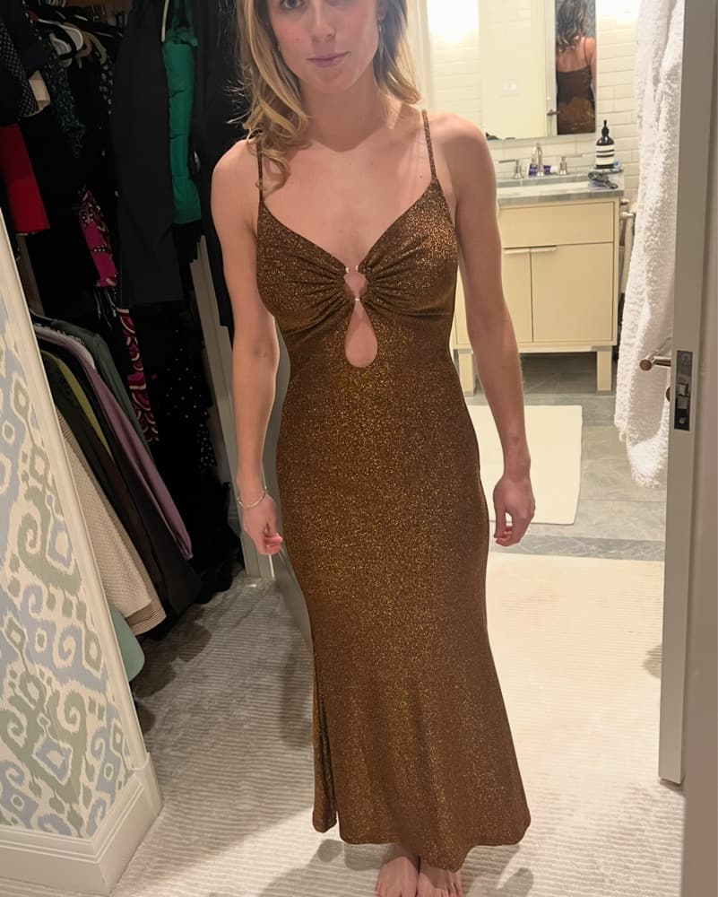 Josette Dress in Burnt Copper   - Image 2
