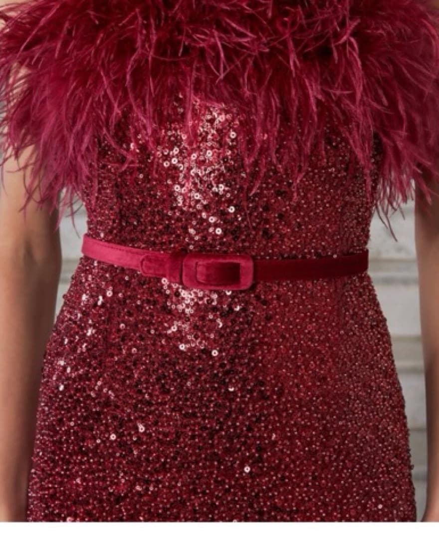 Nadine Merabi Red Feather Dress - Image 3
