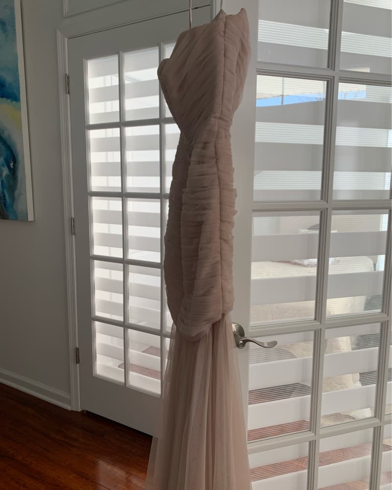 Elegant Blush Tulle Dress Amsale - Image 5