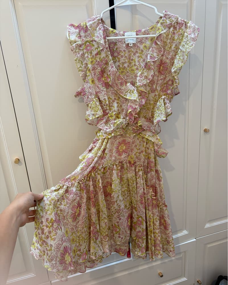 Mesh Fluttery Mini Dress - Image 1