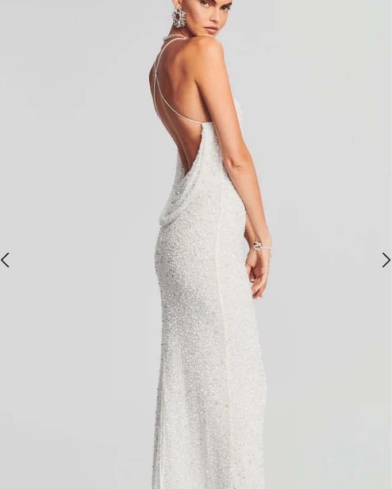 Alice Retrofete Sequin Dress - Image 3