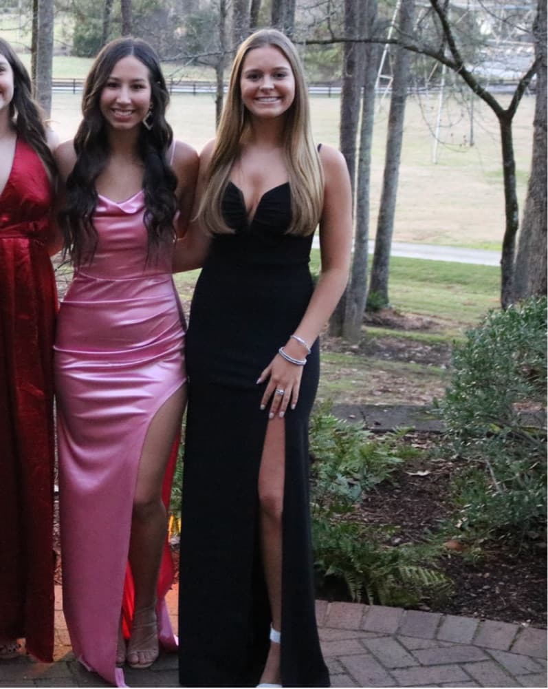 Windsor Black V Neck Dress  - Image 6