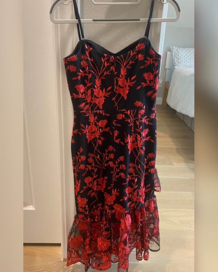Dress The Population Red And Black Dress - Image 1