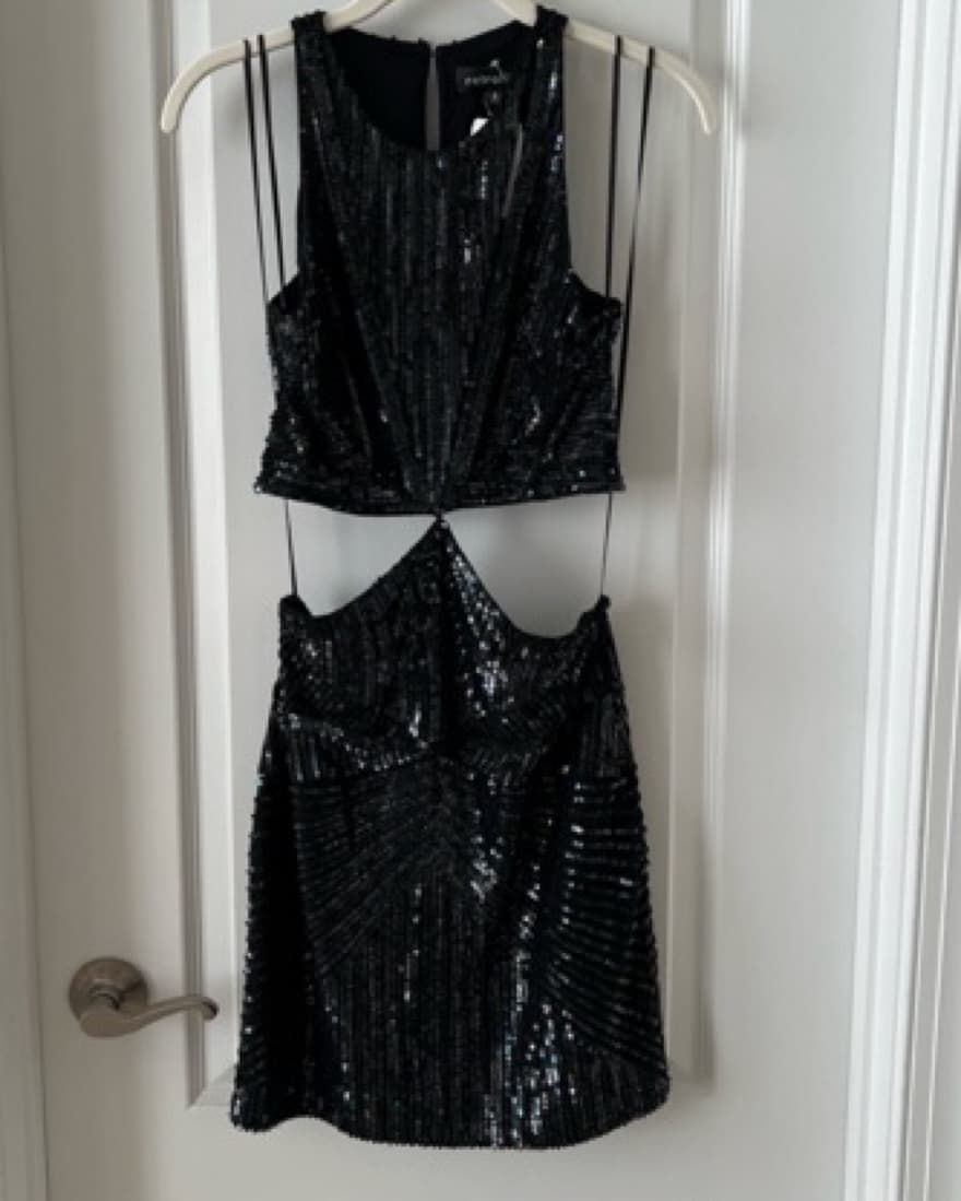 Retrofete Mary Sequin Dress - Image 6