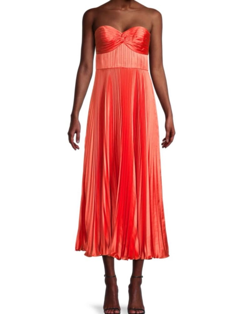 Amur Pleated Gown  - Image 1