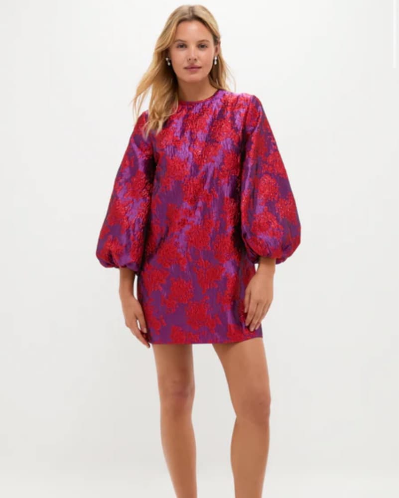Tuckernuck Jacquard Mini Dress  - Image 1