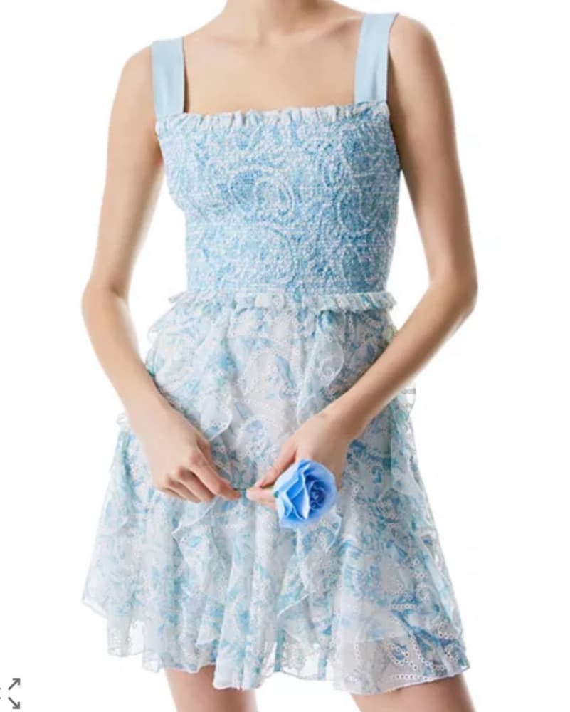 Alice and Olivia Jocelyn Smocked Dress - Image 1