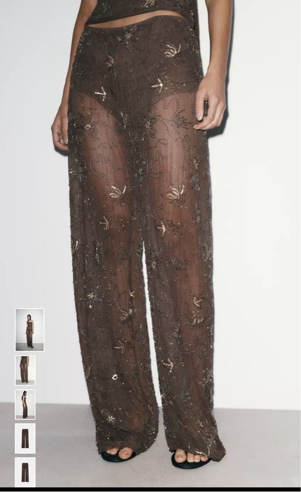 Zara Brown Sheer Sequin Pants - Image 1