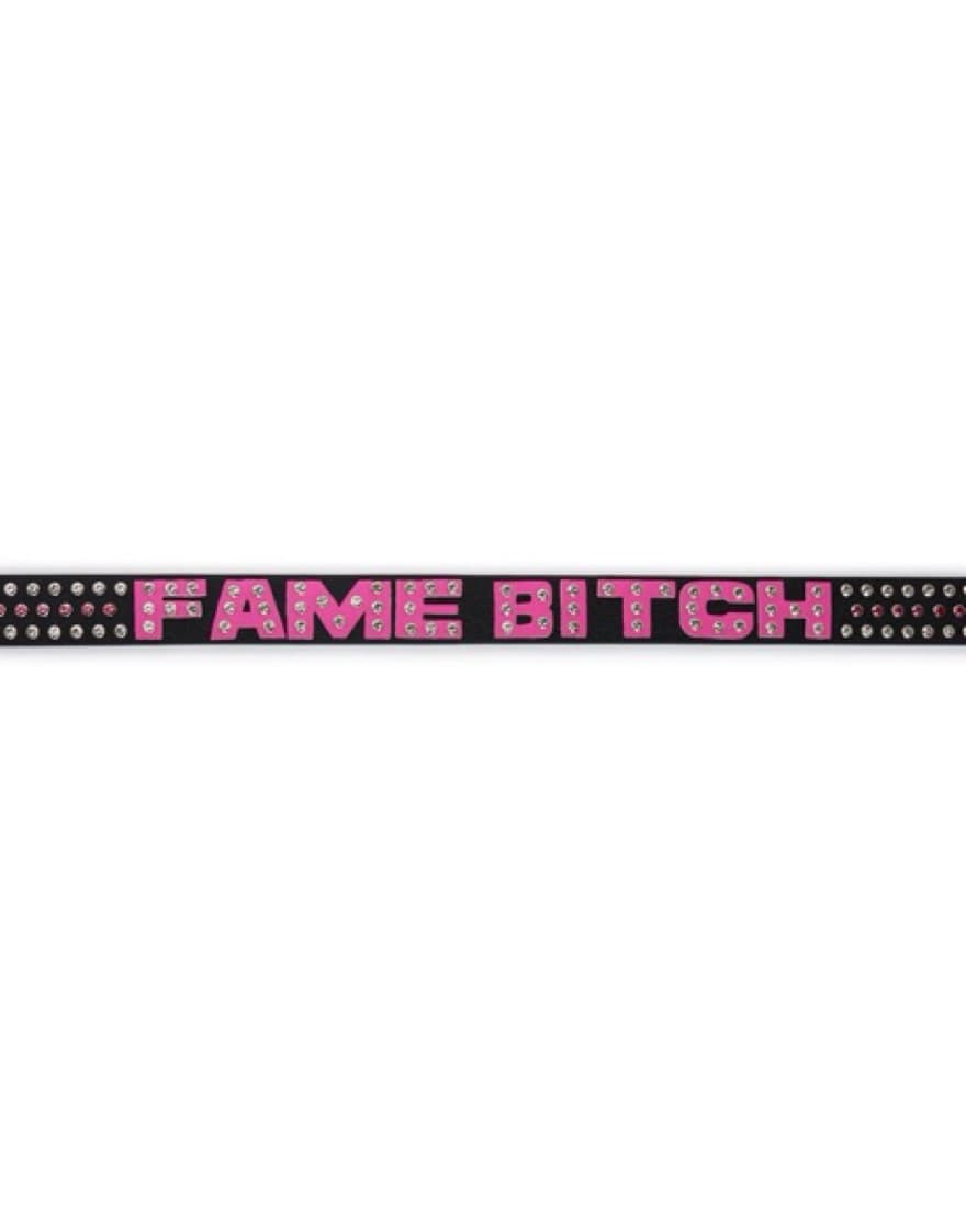 NAMILIA Fame B*tch Belt - Image 1