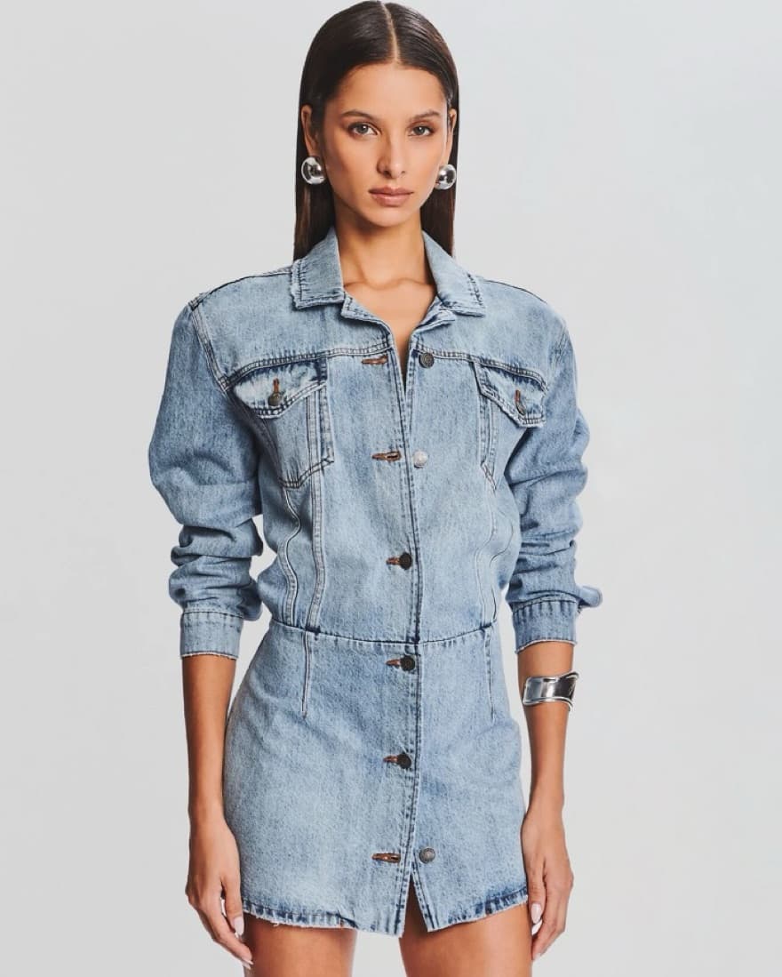 RETROFETE Laura Denim Dress  - Image 3