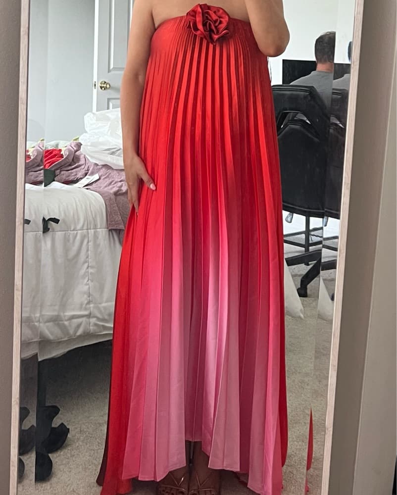 Wedding Guest Dress - Image 1