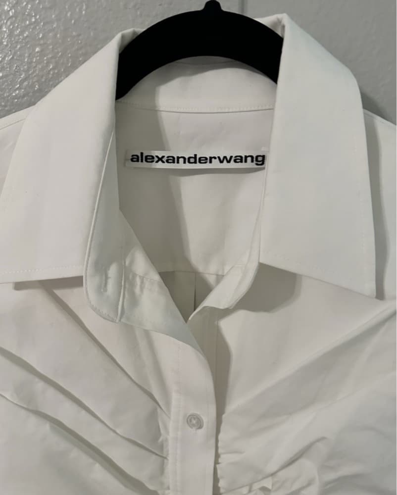 Alexander Wang Shirt Dress - Image 5