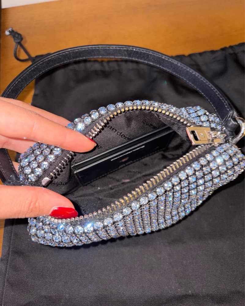 Alexander Wang Sparkle Bag  - Image 6