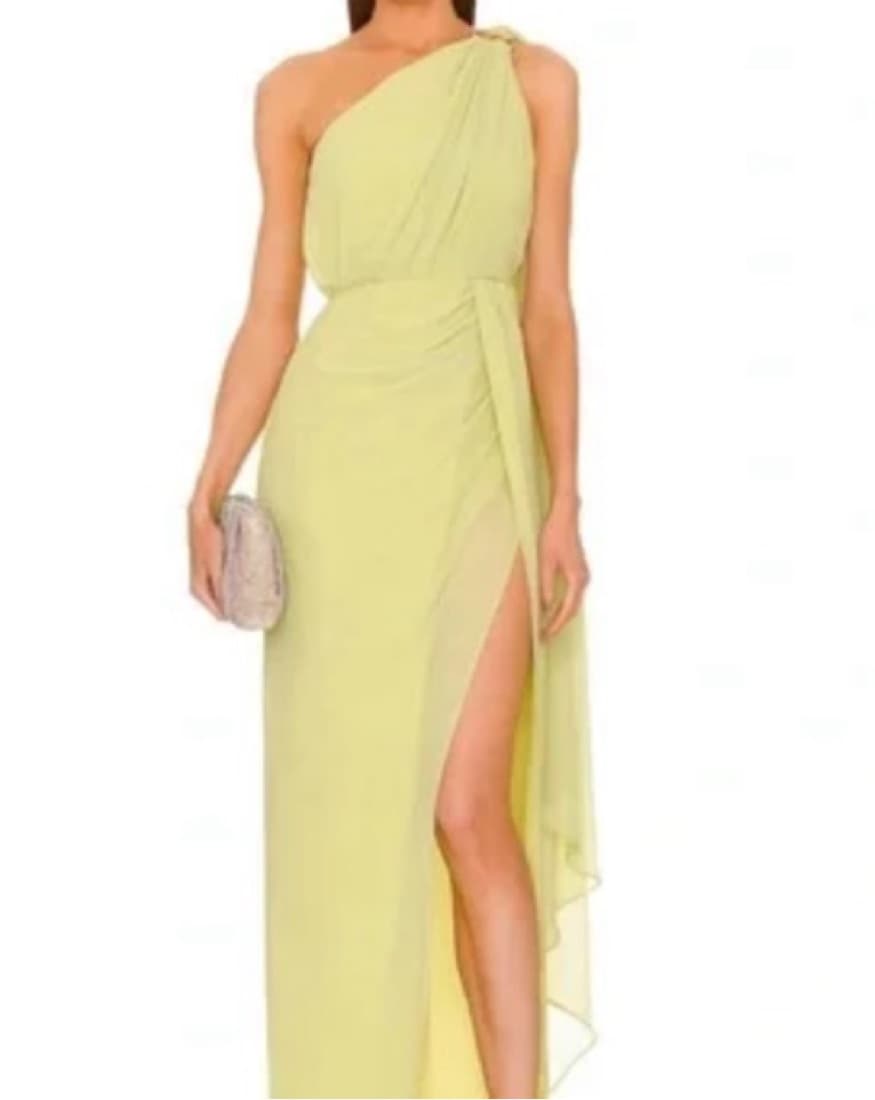 Michael costello x revolve Robert Gown - Image 2
