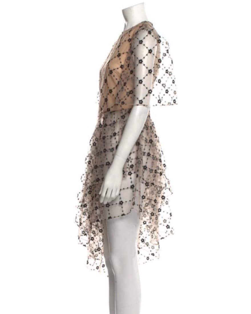 Sandy Liang Tulle Dress - Image 3