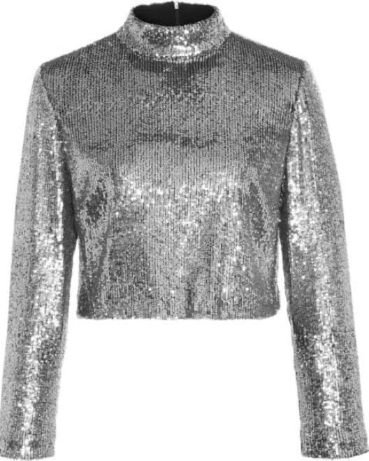 ALC Silver Sequin Long Sleeve Crop Top - Image 1