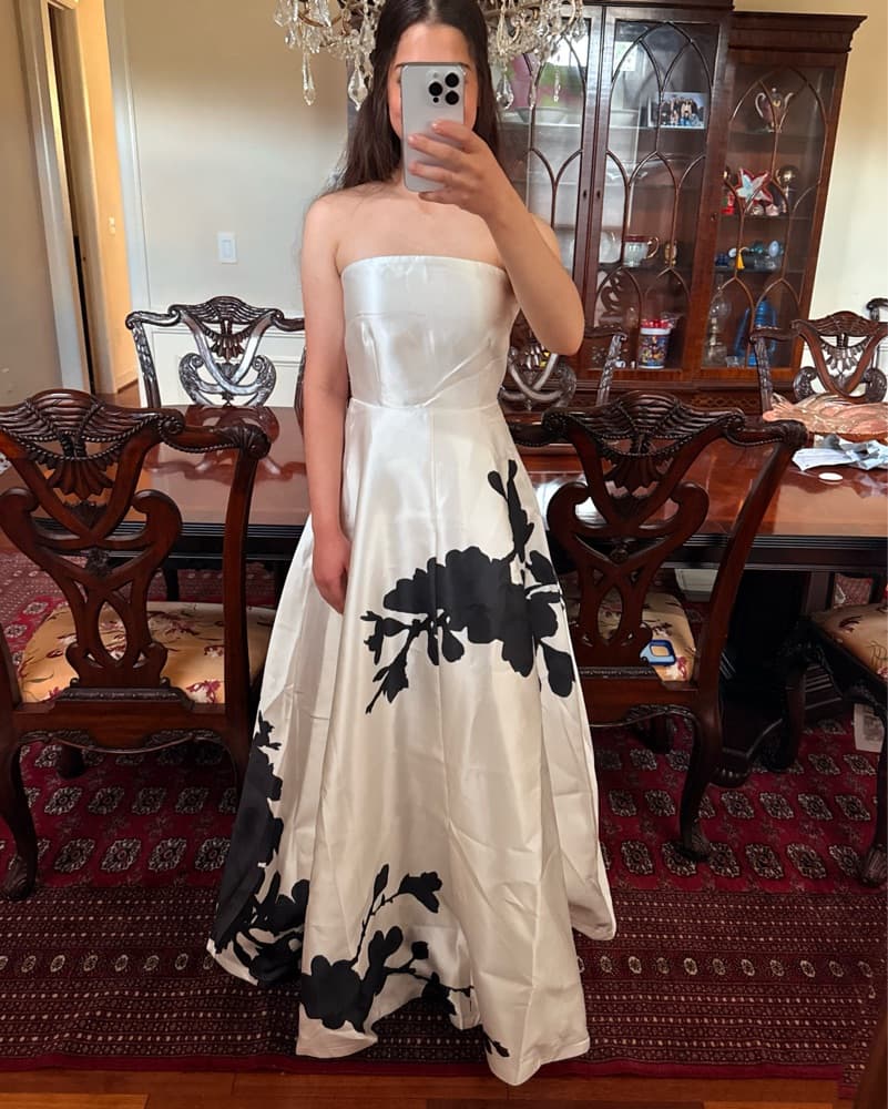 Aston Studio Strapless Gown - Image 1
