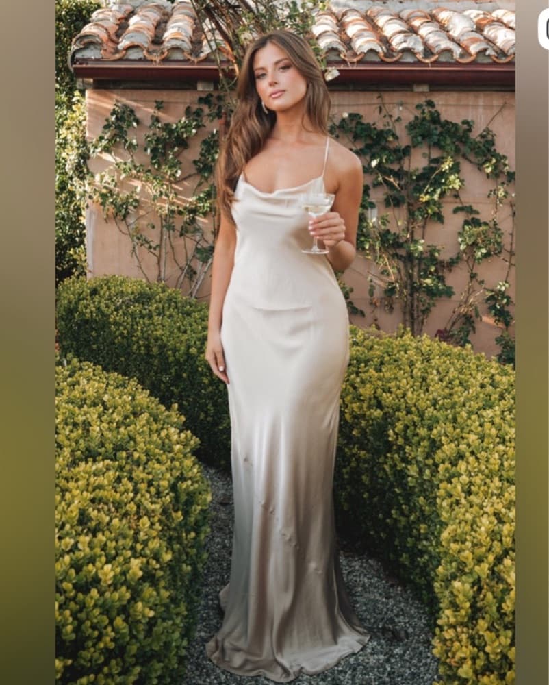 Show Me Your MuMu Maxi Slip Dress - Image 1