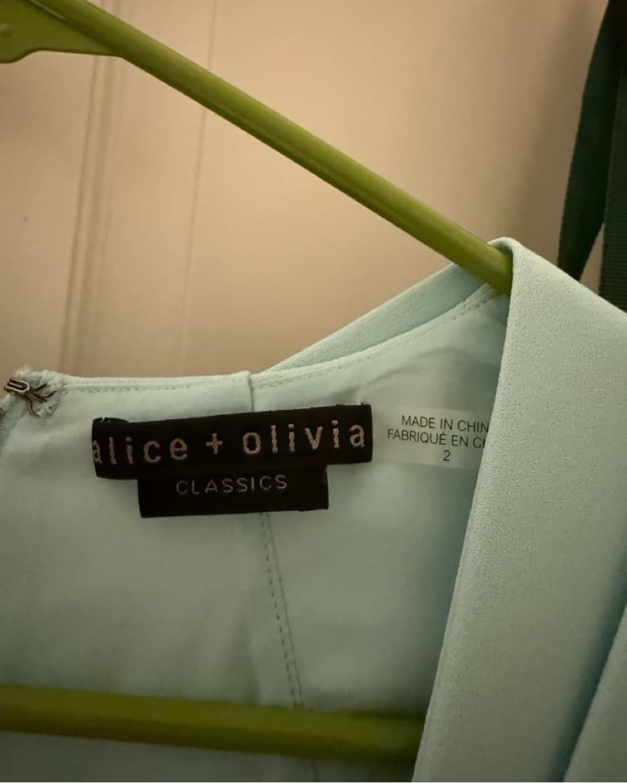 Alice and Olivia Mint Dress - Image 4