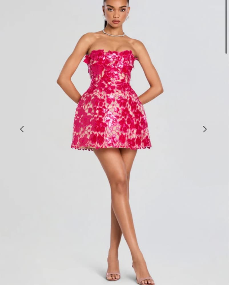 ALIRA LACE DRESS - Image 1