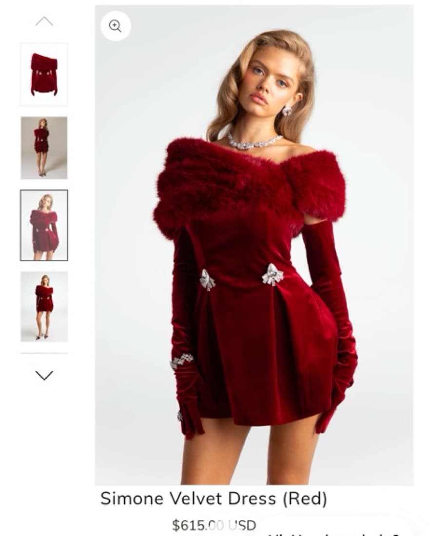 Band New Nana Jacqueline Dress - Image 3