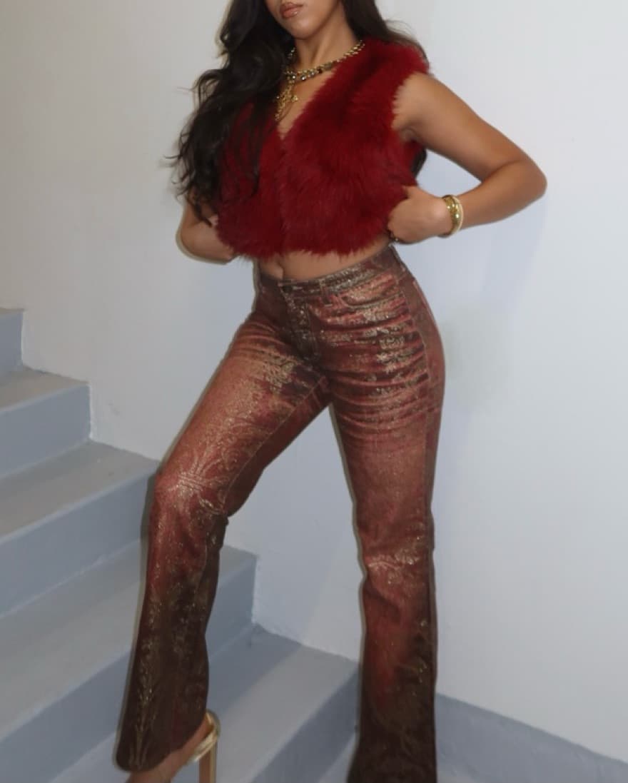 Roberto Cavalli Gold And Burgandy Jeans - Image 1