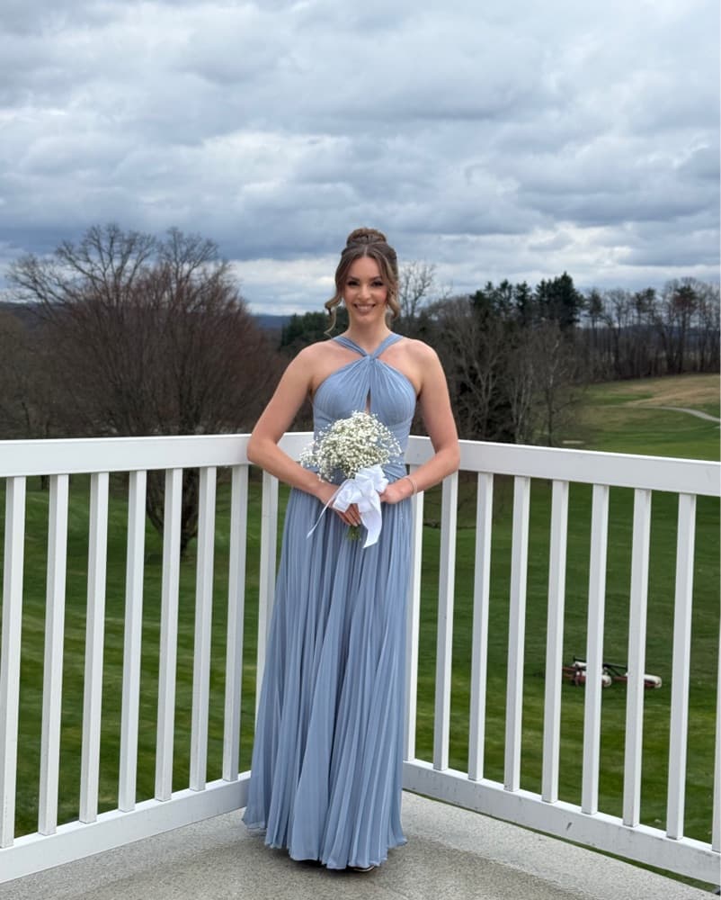 Elegant Pleated Chiffon Dress - Image 2