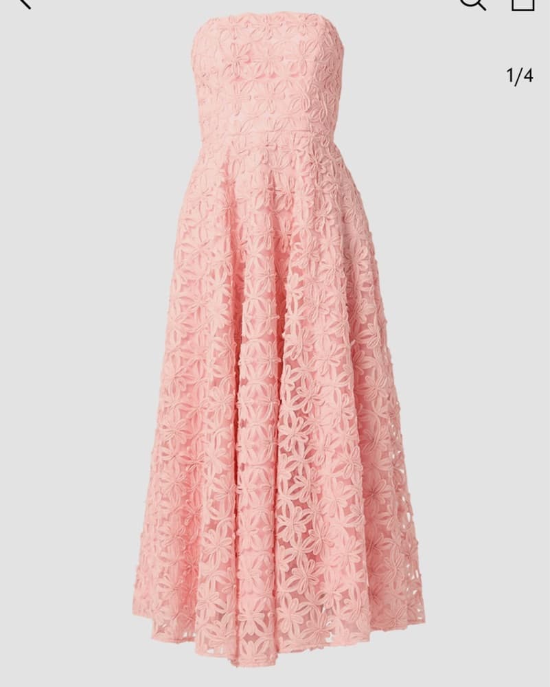 Shoshanna Floral Applique Maxi Dress - Image 1