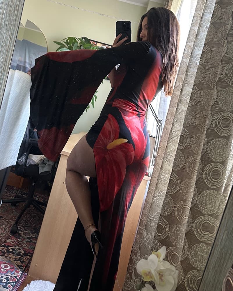 Retrofete Dress - Image 4
