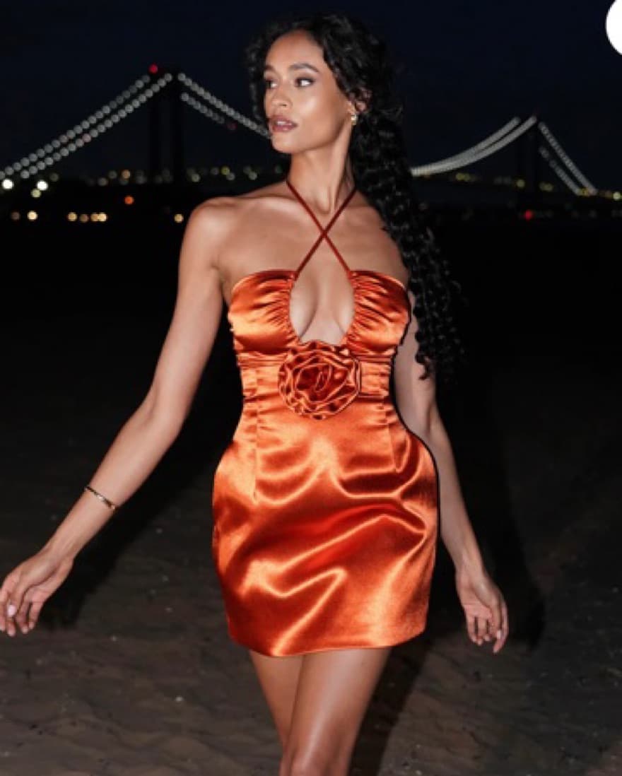 Miss Circle Dress  - Image 1