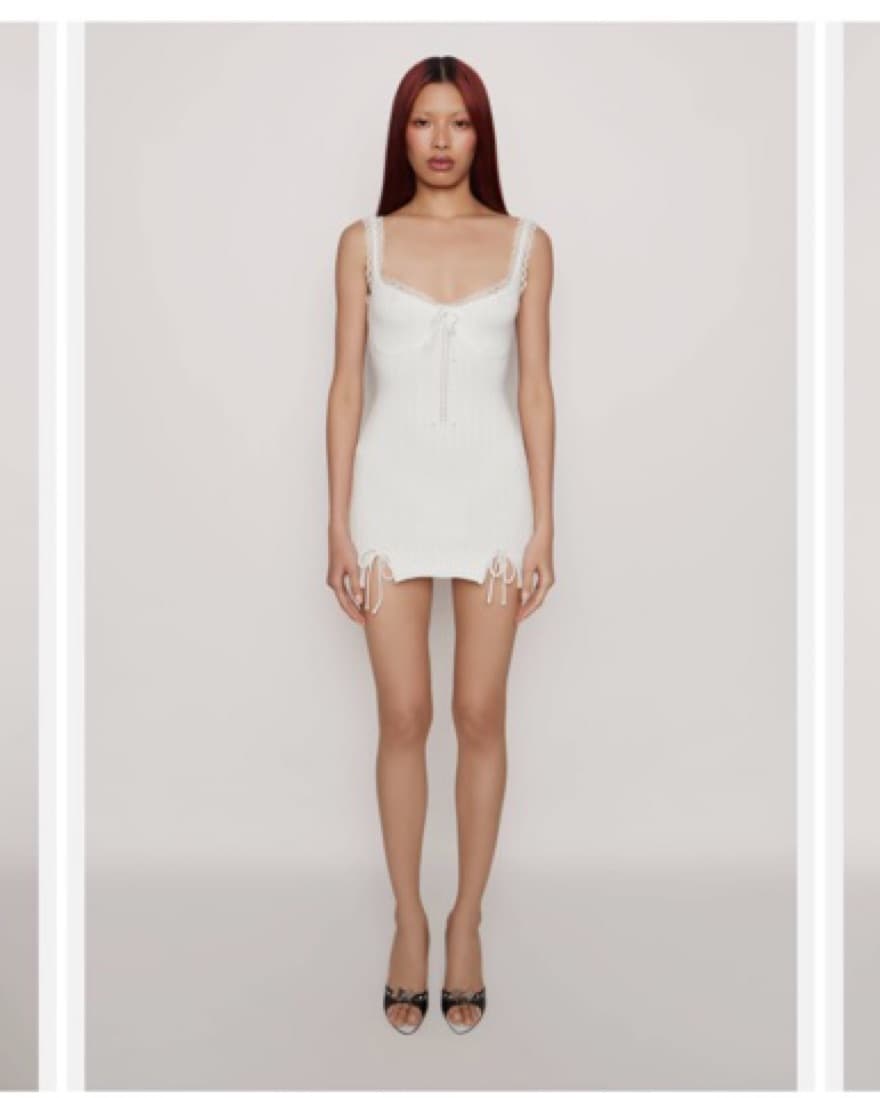 Danielle guizio Dainty Lace knit mini - Image 1