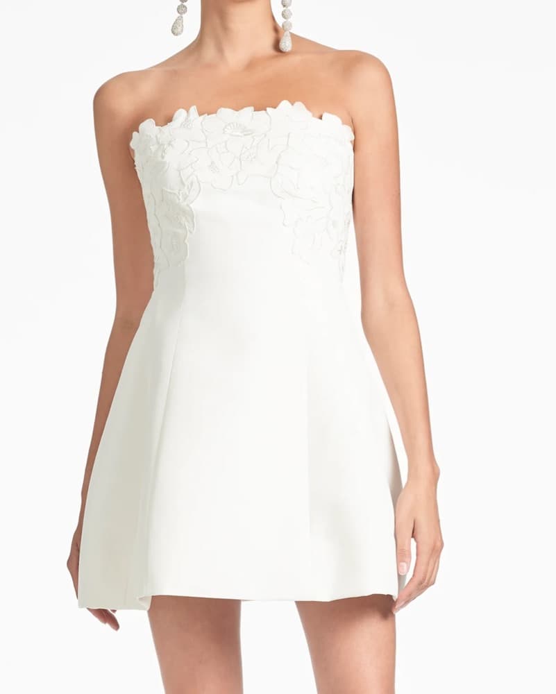 Sachin & Babi Alanna Minidress - Image 1