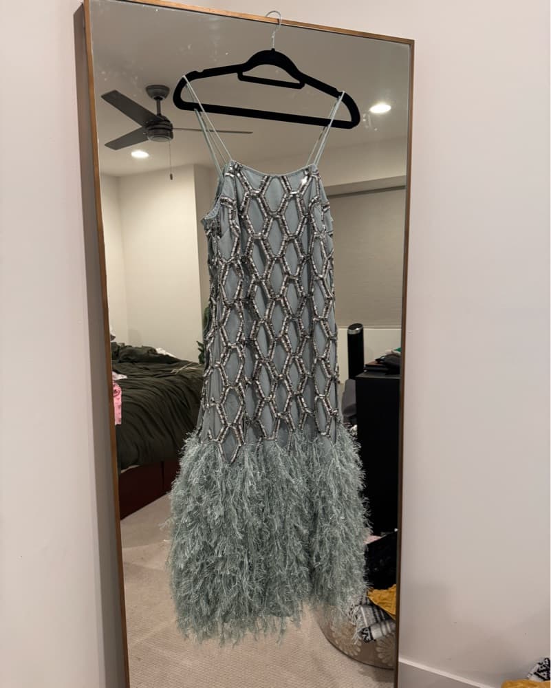 Fringe Sequin Dress - Image 3