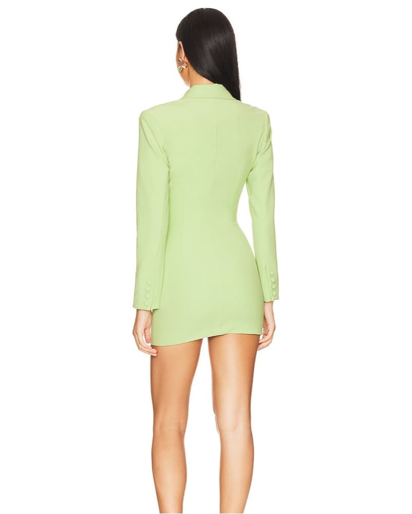 Camila Coehlo Ivy Mini Dress - Image 3