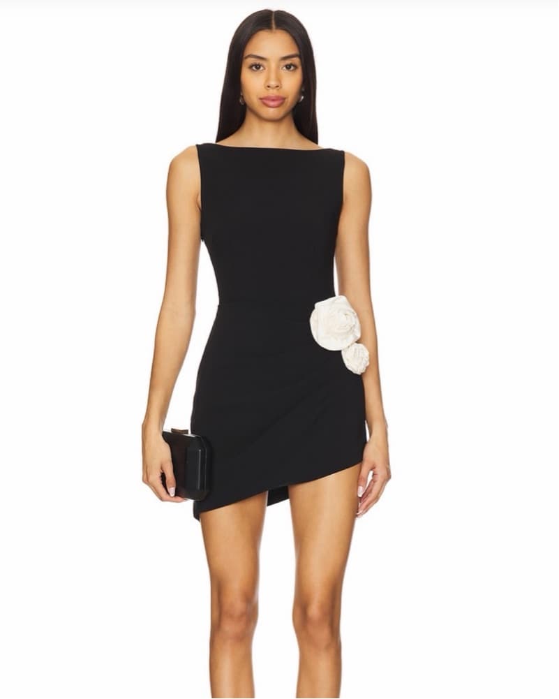 Lovers and Friends Maggie Mini Dress - Image 1