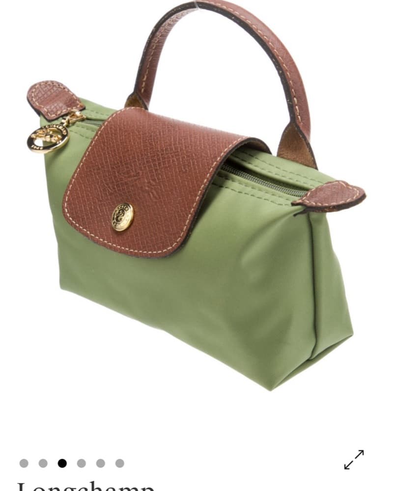 Mini Longchamp Purse - Image 3