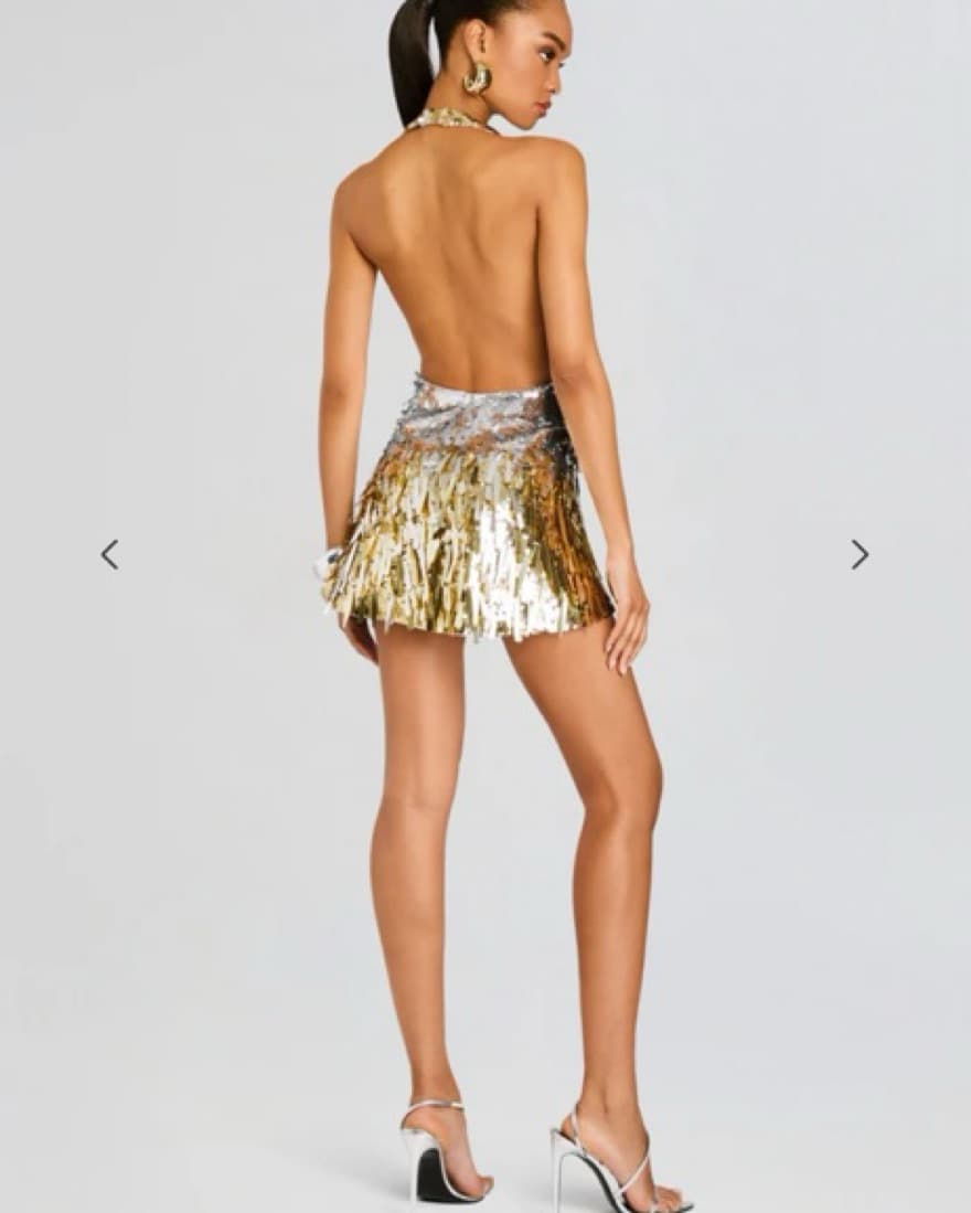 Sequin Silver/Gold Retrofete Dress - Image 2